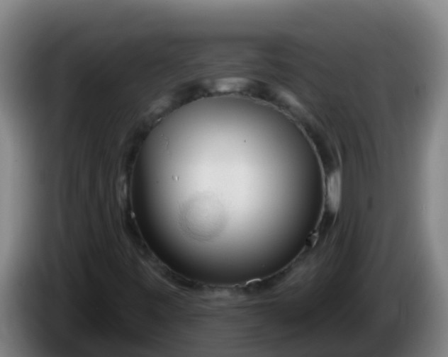 X0000086301443200704201933