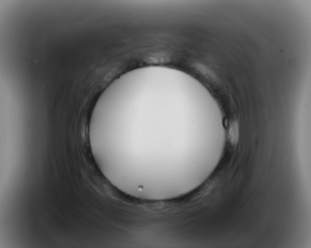 X0000086301444200704201933