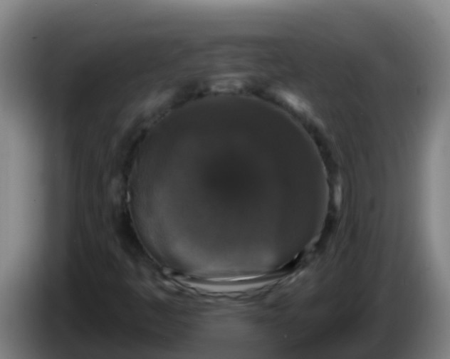 X0000086301445200704201933