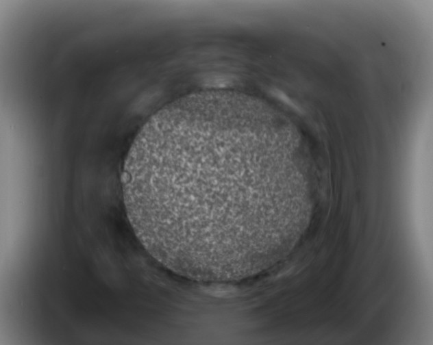 X0000086301446200704201933