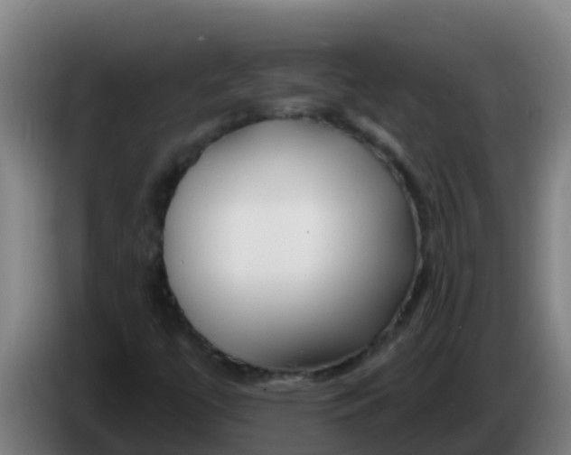 X0000086301447200704201933