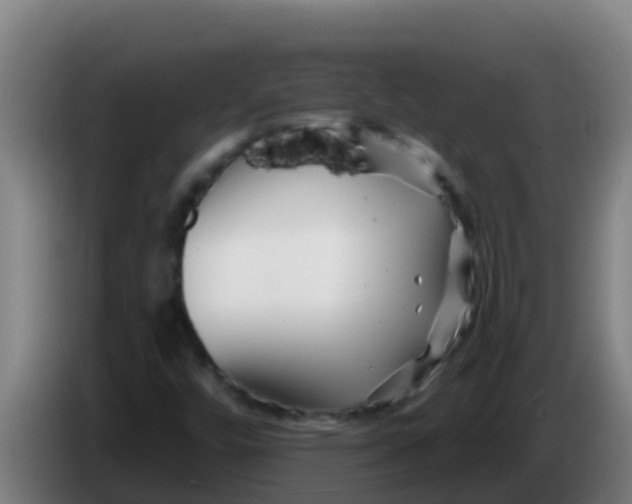 X0000086301448200704201933