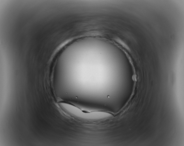 X0000086301452200704201933