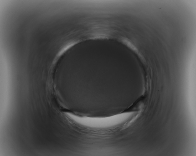 X0000086301453200704201933