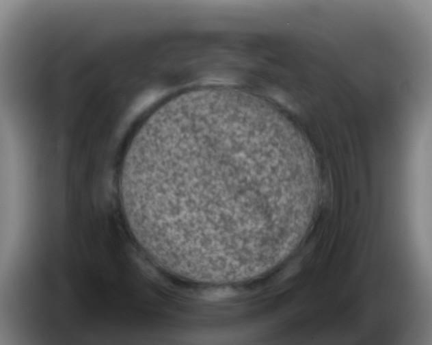 X0000086301454200704201933