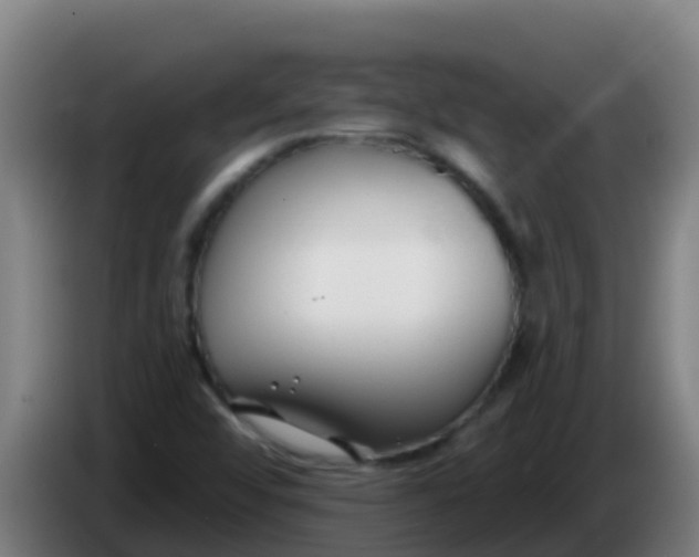 X0000086301456200704201933