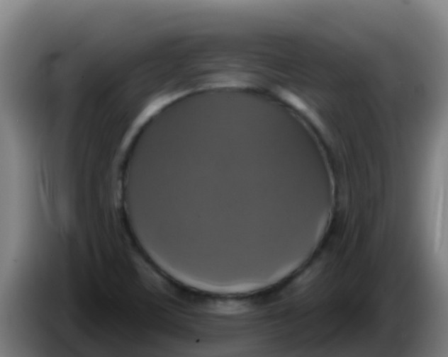 X0000086301459200704201933