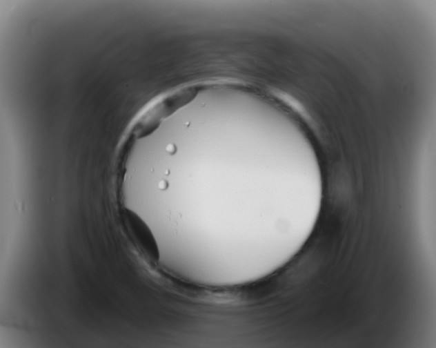 X0000086301460200704201933