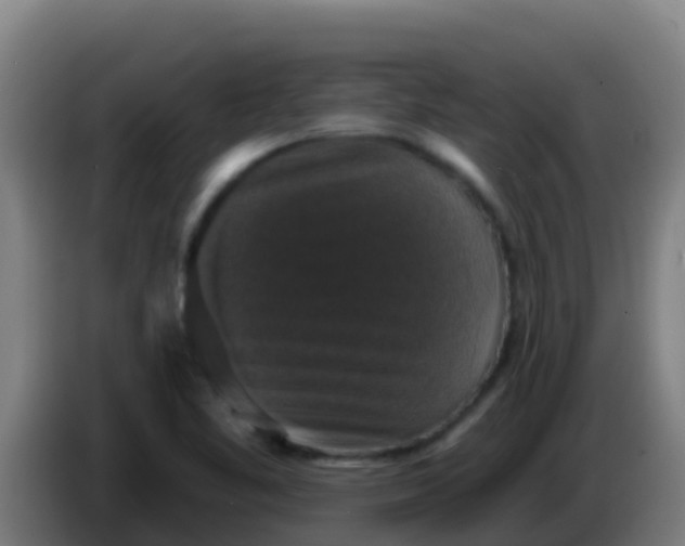 X0000086301461200704201933