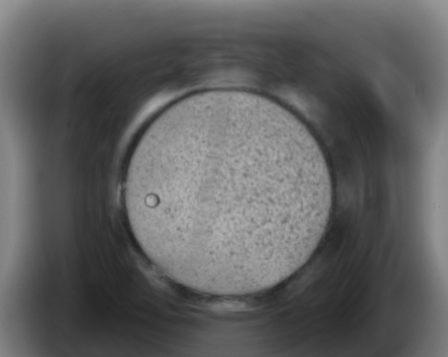 X0000086301462200704201933