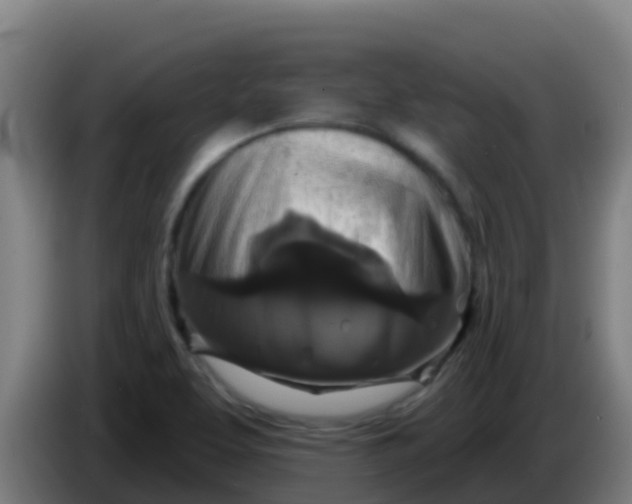 X0000086301463200704201933