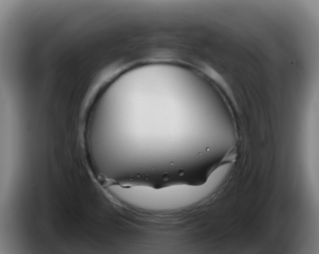 X0000086301464200704201933