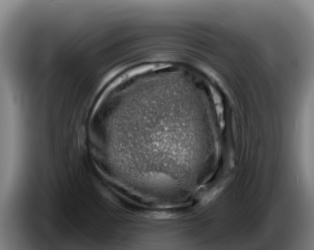 X0000086301465200704201933