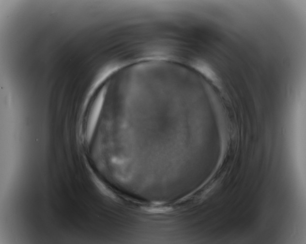 X0000086301466200704201933