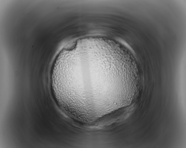 X0000086301467200704201933