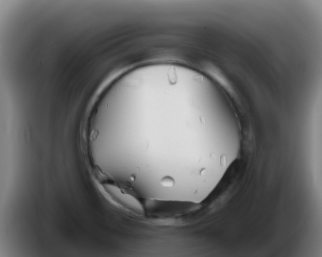 X0000086301468200704201933