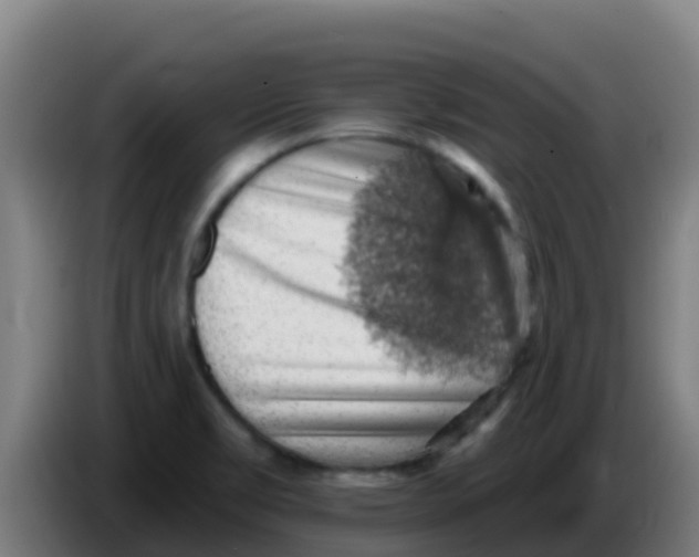 X0000086301469200704201933