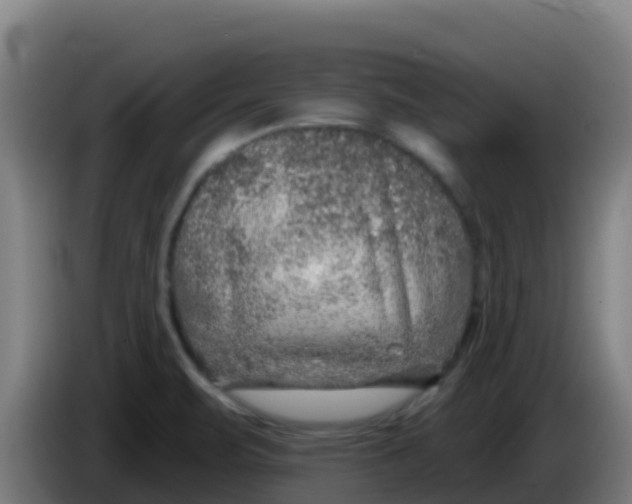 X0000086301471200704201933