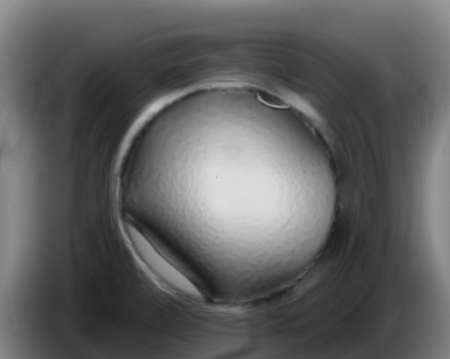 X0000086301472200704201933