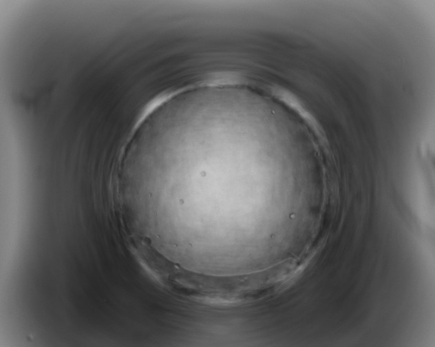 X0000086301473200704201933