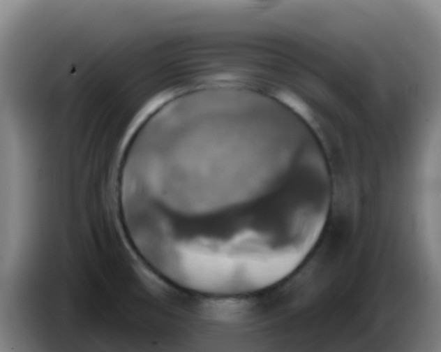 X0000086301474200704201933