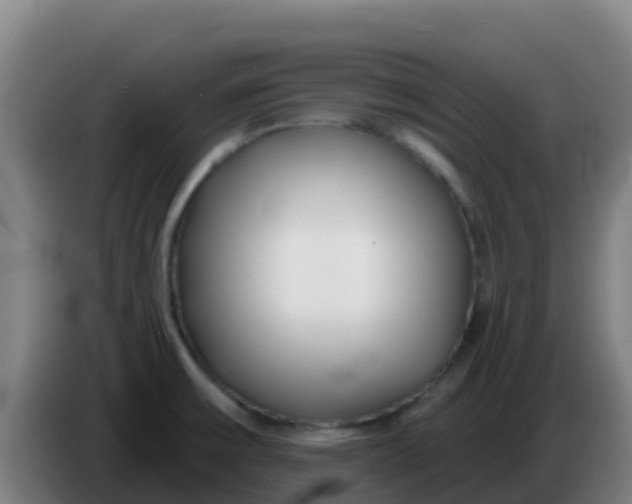 X0000086301475200704201933