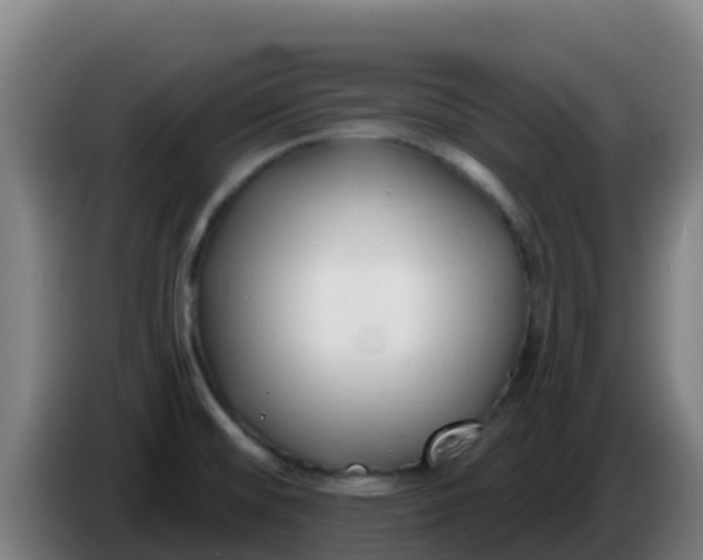 X0000086301476200704201933