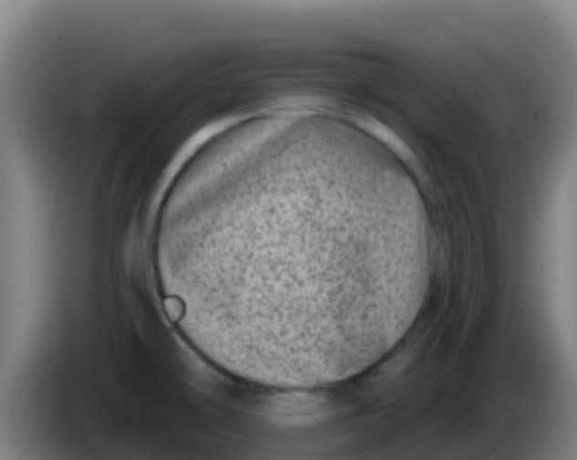 X0000086301478200704201933