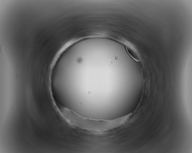 X0000086301480200704201933