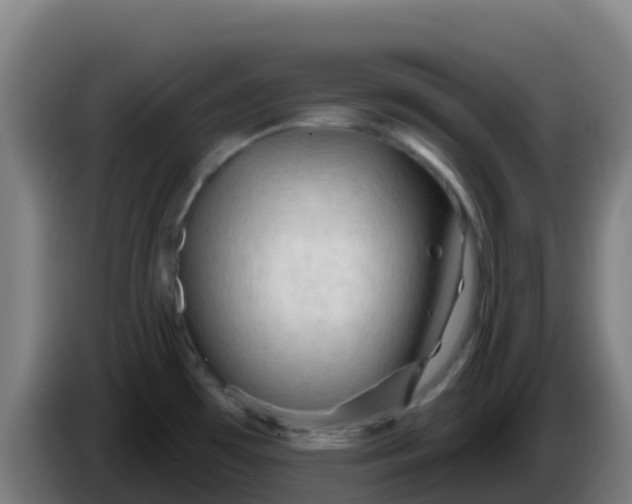 X0000086301481200704201933