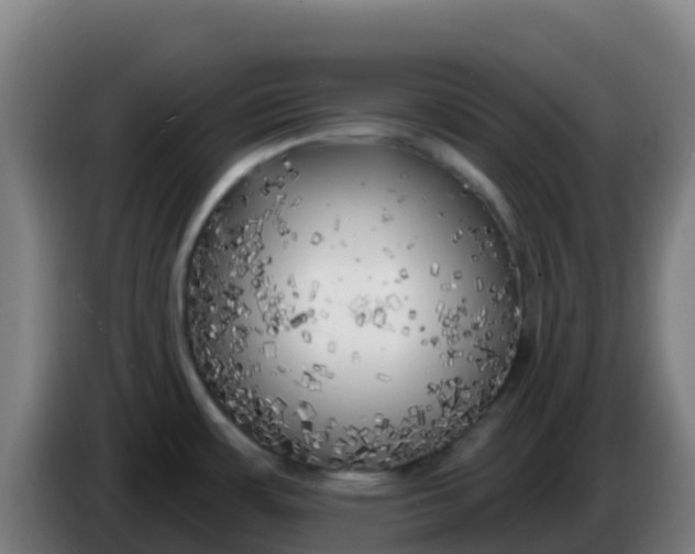 X0000086301483200704201933