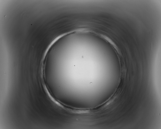 X0000086301484200704201933