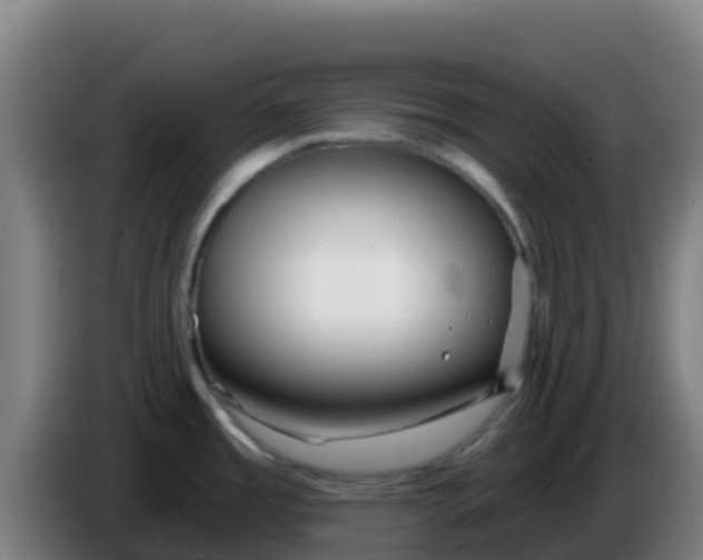 X0000086301485200704201933