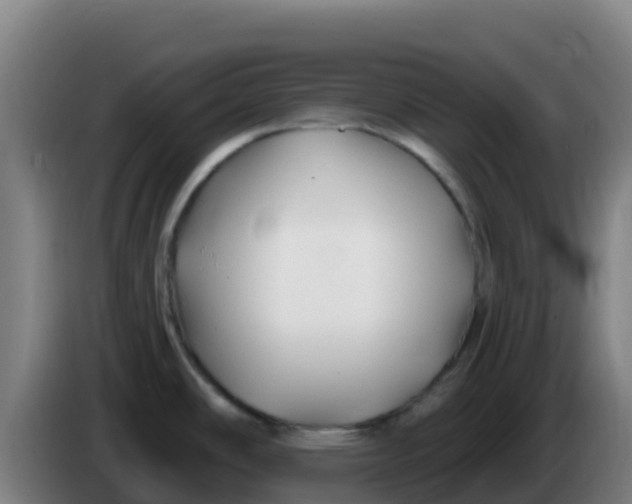 X0000086301486200704201933