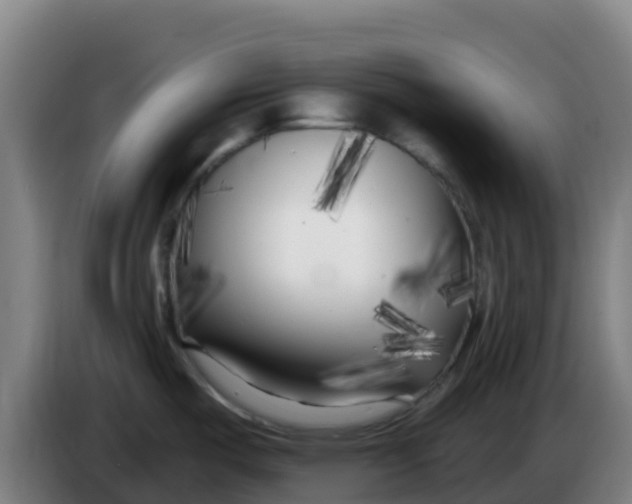 X0000086301487200704201933