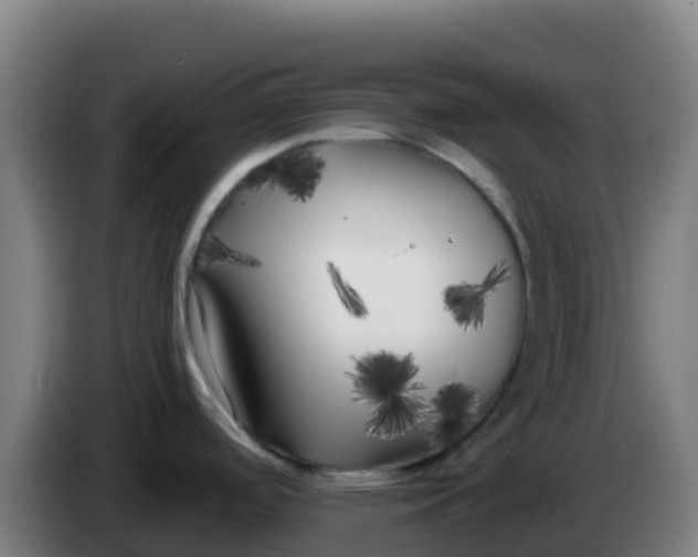 X0000086301488200704201933