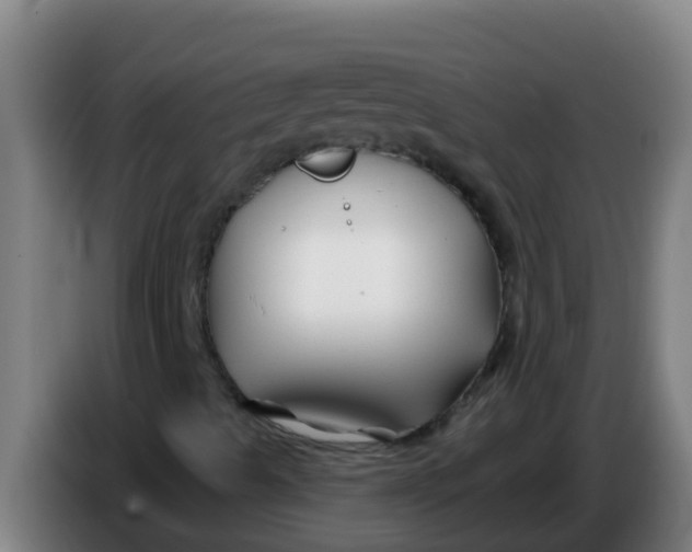 X0000086301489200704201932