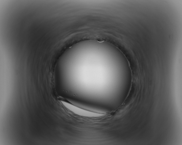 X0000086301490200704201932