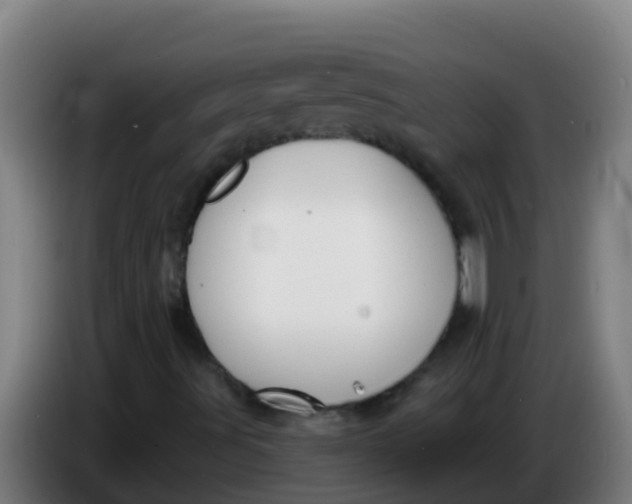 X0000086301491200704201932