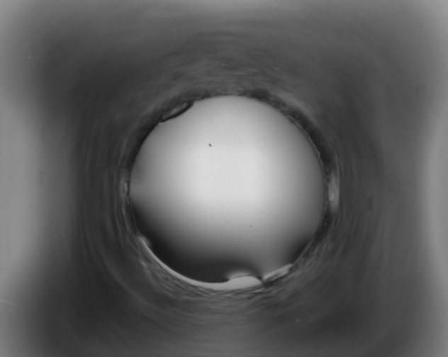 X0000086301492200704201932