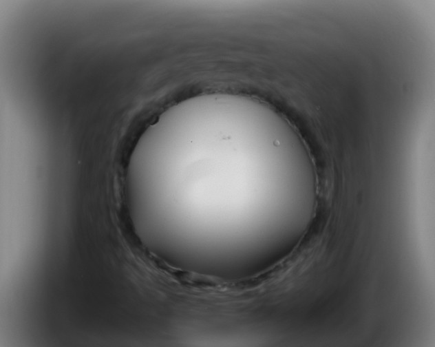 X0000086301493200704201932