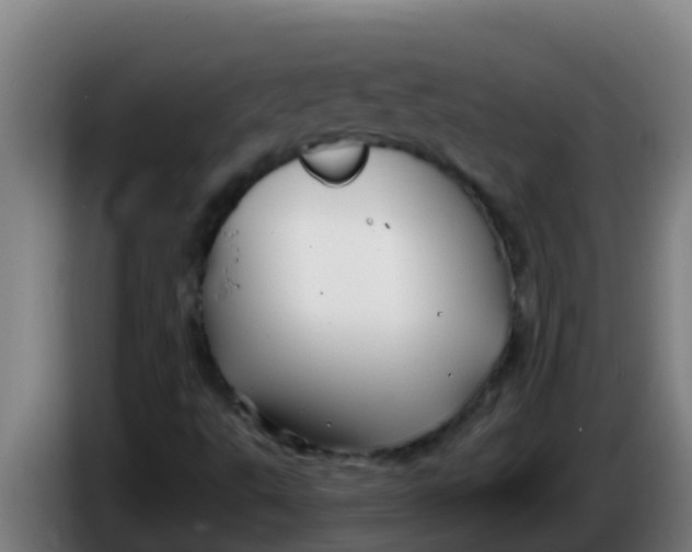 X0000086301495200704201932