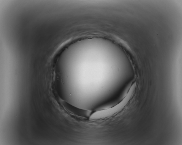 X0000086301496200704201932