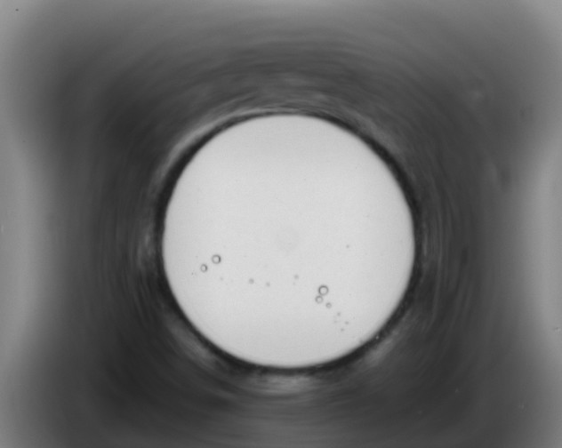 X0000086301498200704201932