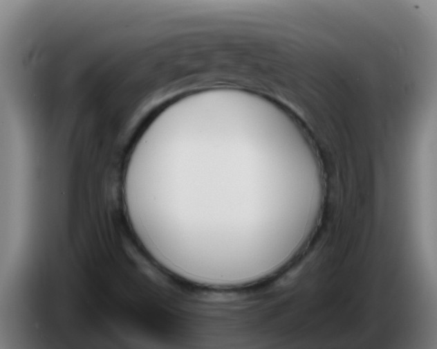 X0000086301499200704201932