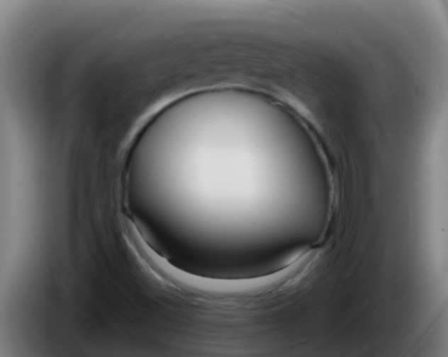 X0000086301500200704201932