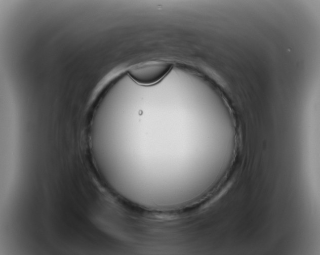 X0000086301501200704201932