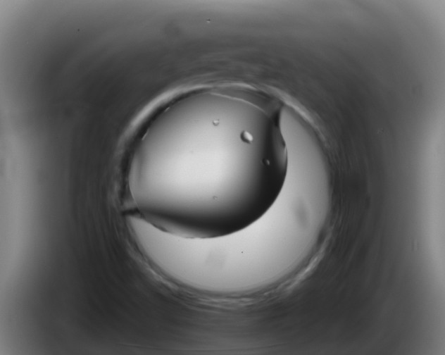 X0000086301502200704201932