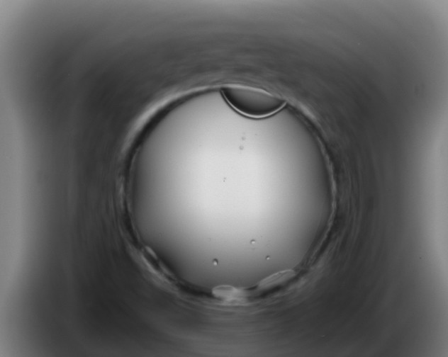 X0000086301503200704201932