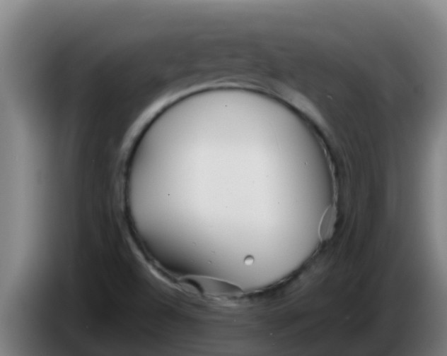 X0000086301504200704201932